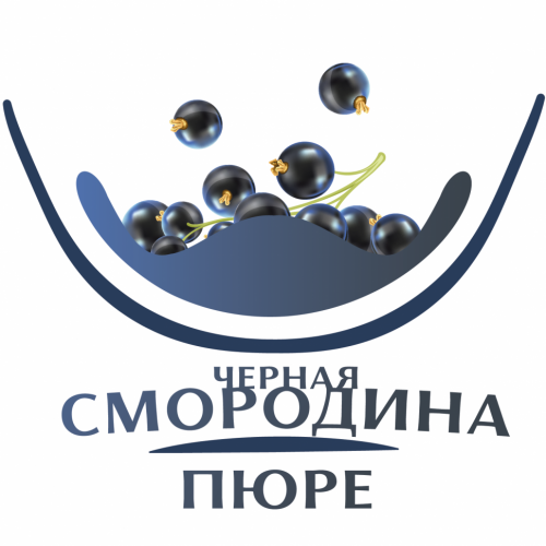 Пюре Черной смородины  замороженное, Agrobar, 250гр фото